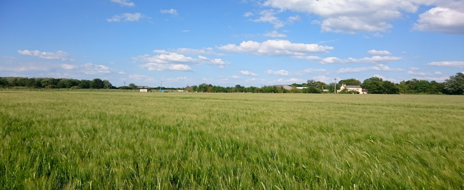  Cottages and Shepherd's Huts available for holidays and bed and breakfast